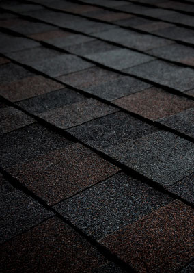 Viking Roofing Images