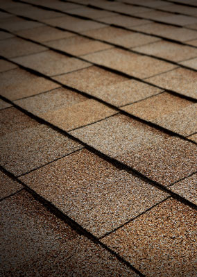 Viking Roofing Images