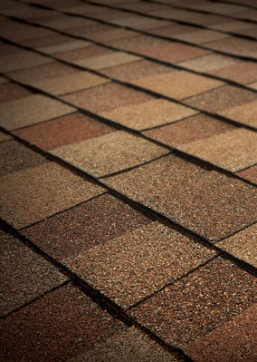Viking Roofing Images
