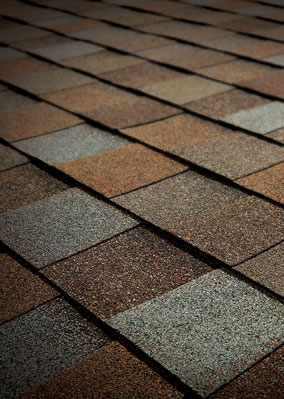 Viking Roofing Images