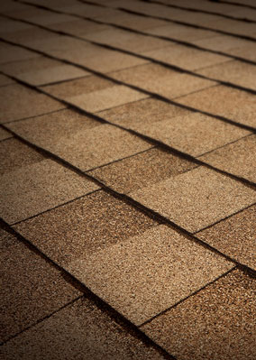Viking Roofing Images