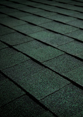 Viking Roofing Images