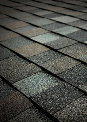 Viking Roofing Images