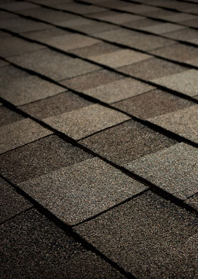 Viking Roofing  Images