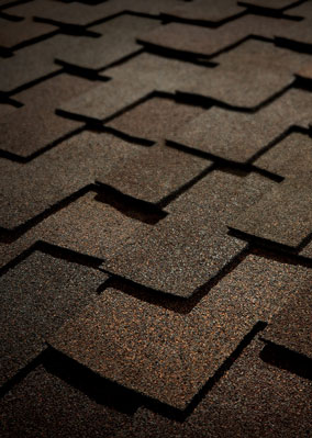 Viking Roofing Images