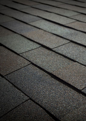 Viking Roofing  Images