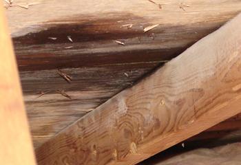 Viking Roofing  Images