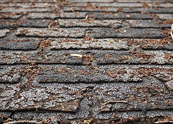 Viking Roofing  Images